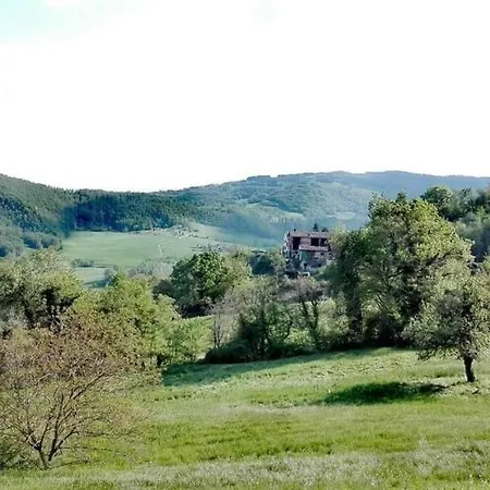 Apartment Monolocale Indipendente Con Giardino E Vista Unica! *